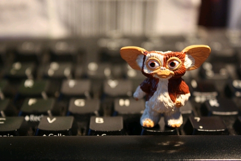 Mogwai on keyboard